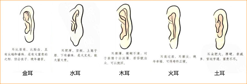 麻衣神相白话详解相耳之金耳水耳木耳火耳土耳与命运