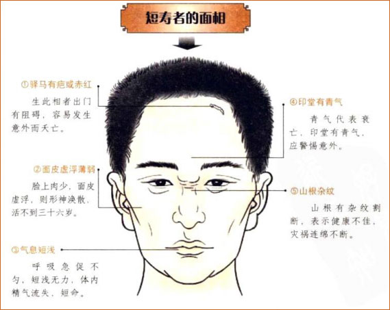 麻衣神相白话详解肉色轻浮者短寿头骨凸出有惊无险